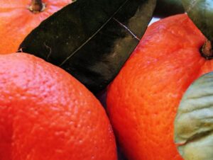 Mandarijnen met blad